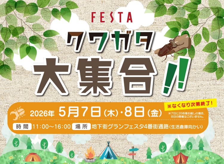 クワガタ 大集合！！