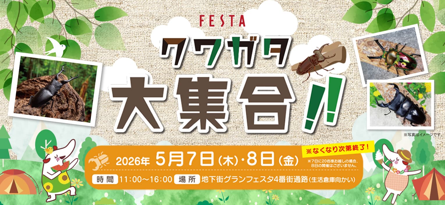 クワガタ 大集合！！